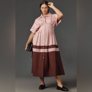 Anthropologie Pink and Brown Midi Dress